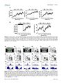 Thumbnail for version as of 06:17, 11 April 2026