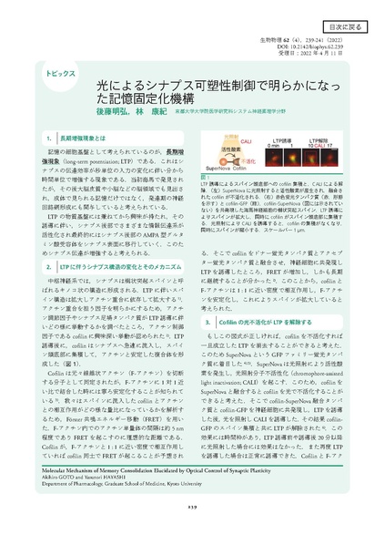 File:20250323102515!Goto 生物物理 2022.pdf