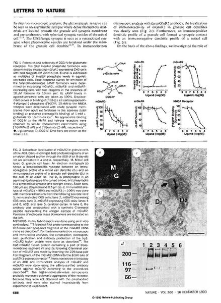 File:Page2-658px-Hayashi Nature.pdf.jpg