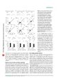 Thumbnail for version as of 06:17, 11 April 2026