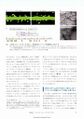 Thumbnail for version as of 06:18, 11 April 2026