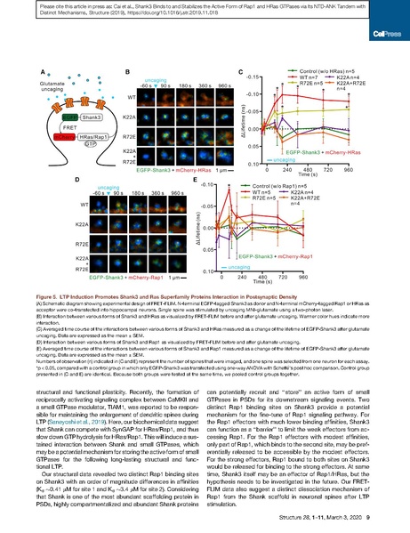 File:20250323102928!Cai Structure 2020.pdf