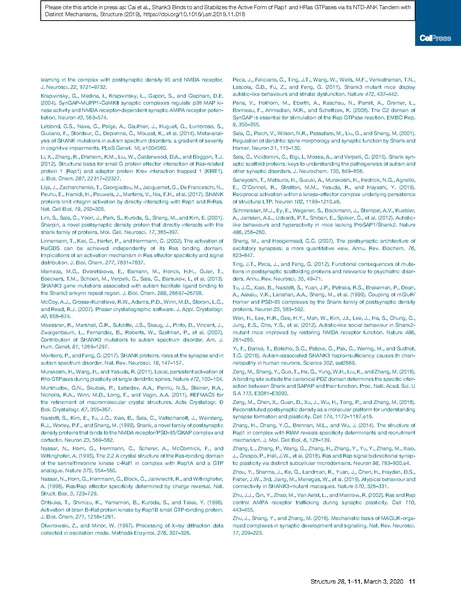 File:20250323102928!Cai Structure 2020.pdf