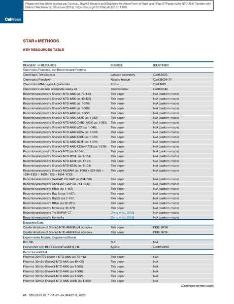 File:20250323102928!Cai Structure 2020.pdf