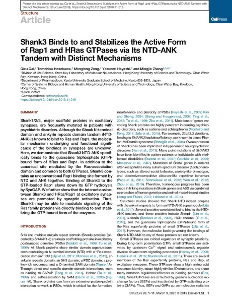 File:20250323102928!Cai Structure 2020.pdf