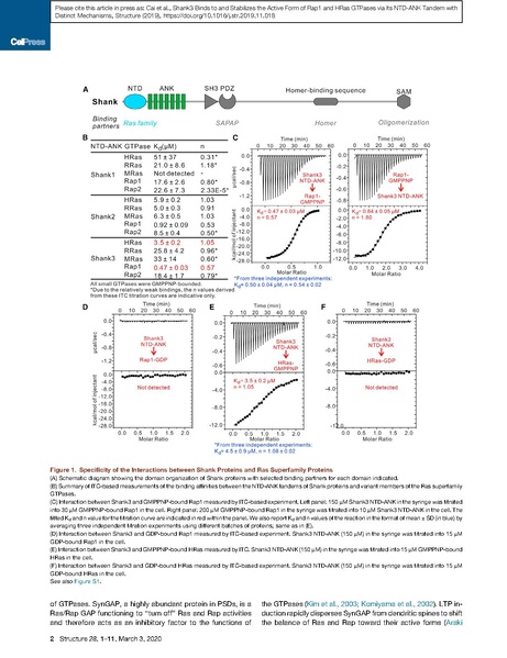 File:20250323102928!Cai Structure 2020.pdf