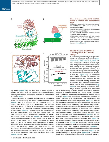 File:20250323102928!Cai Structure 2020.pdf