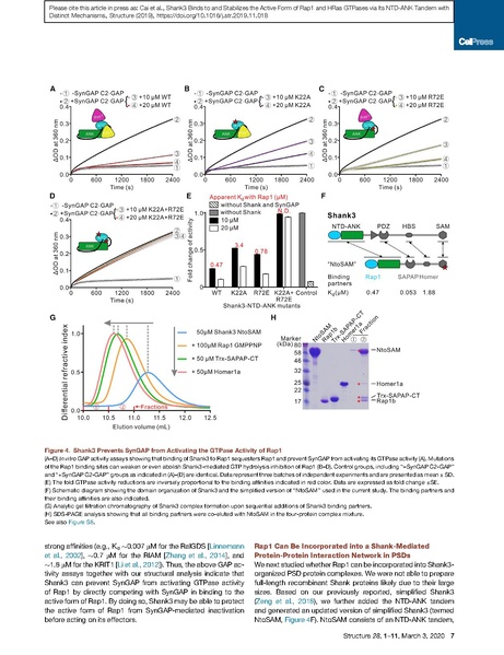 File:20250323102928!Cai Structure 2020.pdf