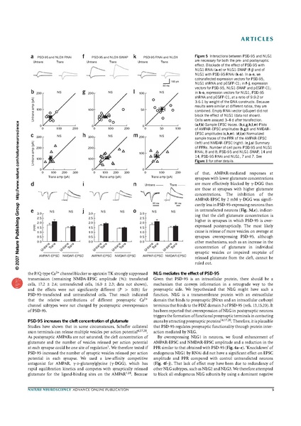 File:Futai nature neurosci.pdf