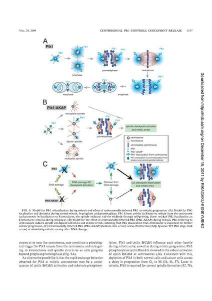 File:Page14-635px-Kishi mol cell biol.pdf.jpg