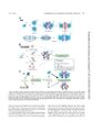 Thumbnail for version as of 06:17, 11 April 2026