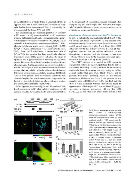 File:Page10-665px-Hallin J Neurochem.pdf.jpg