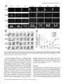 Thumbnail for version as of 06:18, 11 April 2026