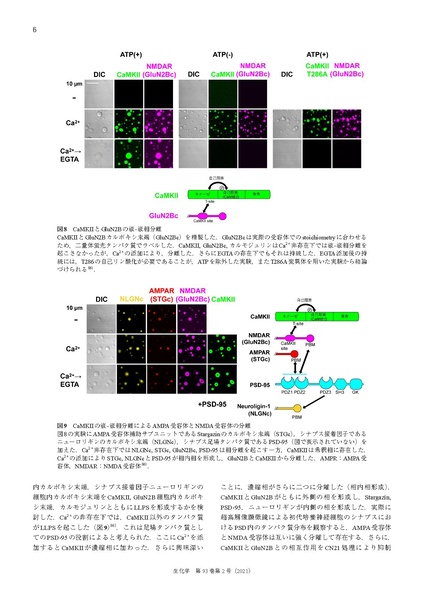 File:20250323102853!Hayashi Seikagaku 2021.pdf