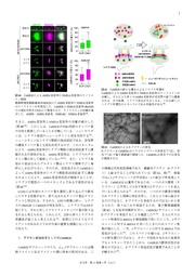 next page →