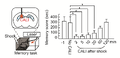 Thumbnail for version as of 06:18, 11 April 2026