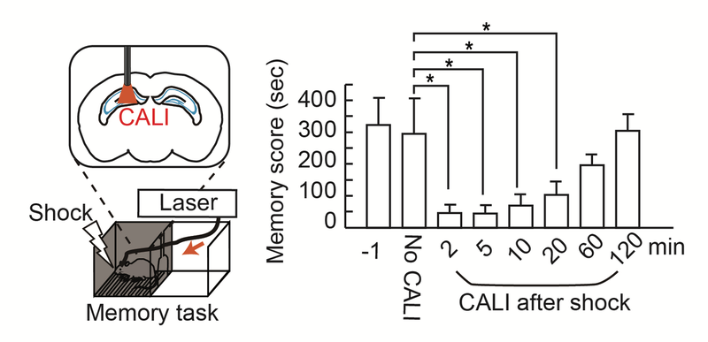 File:1200px-Goto Press Release Fig2E.png