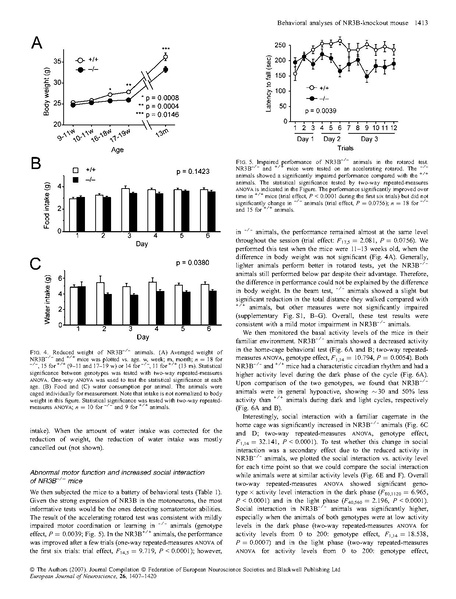 File:20250323102609!Niemann Eur J Neurosci.pdf