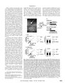 Thumbnail for version as of 06:17, 11 April 2026
