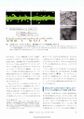 Thumbnail for version as of 06:18, 11 April 2026