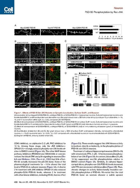 File:Page3-671px-Kim Neuron 2007.pdf.jpg