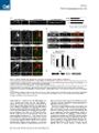 Thumbnail for version as of 06:18, 11 April 2026