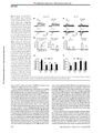 Thumbnail for version as of 06:17, 11 April 2026