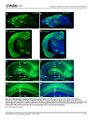 Thumbnail for version as of 06:17, 11 April 2026