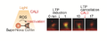 Thumbnail for version as of 06:17, 11 April 2026