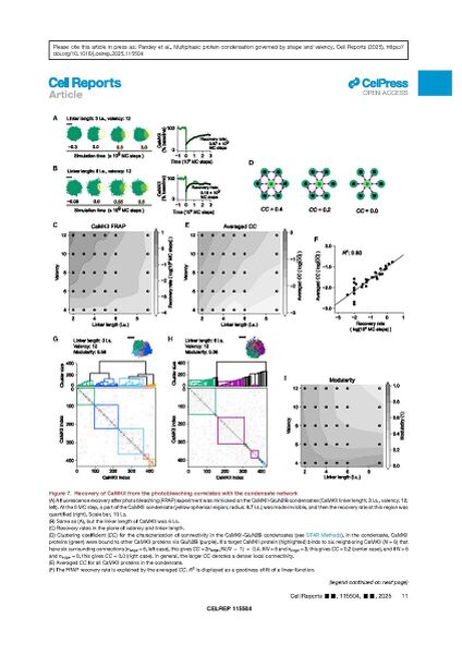 File:Page11-846px-Vikas Cell Rep 2025.pdf.jpg