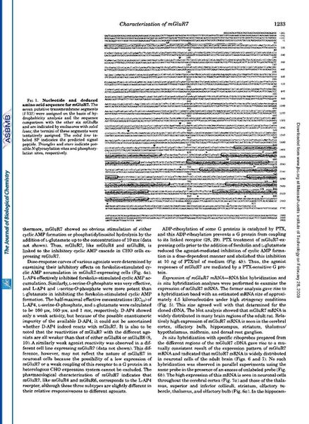 File:Page3-657px-Okamoto J Biol Chem.pdf.jpg