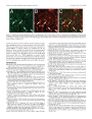 Thumbnail for version as of 06:17, 11 April 2026