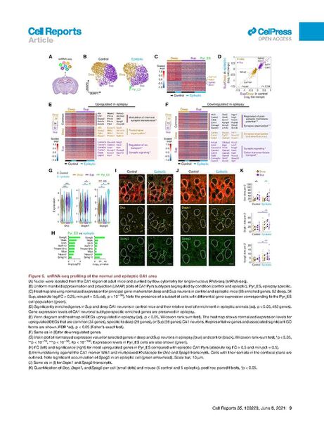 File:Page10-692px-Cid Cell Rep 2021.pdf.jpg