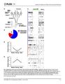 Thumbnail for version as of 06:17, 11 April 2026