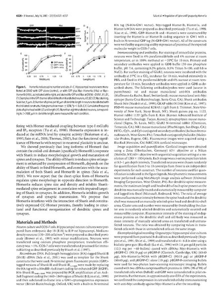 File:Page2-672px-Sala J Neurosci.pdf.jpg