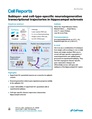 Thumbnail for version as of 06:17, 11 April 2026