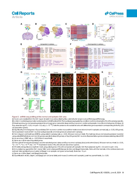 File:20250323102536!Cid Cell Rep 2021.pdf
