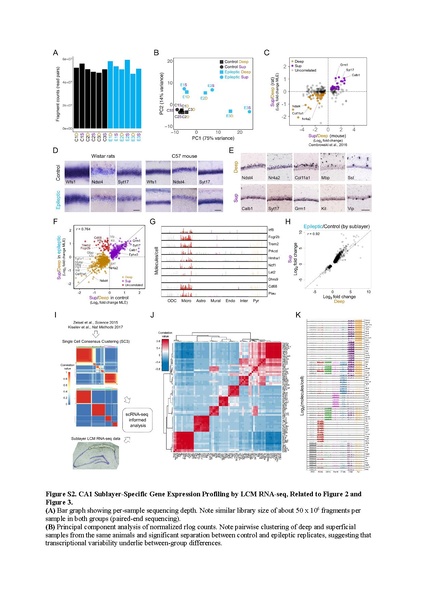 File:20250323102536!Cid Cell Rep 2021.pdf