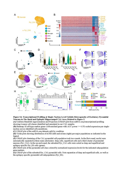 File:20250323102536!Cid Cell Rep 2021.pdf
