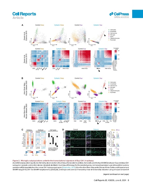 File:20250323102536!Cid Cell Rep 2021.pdf