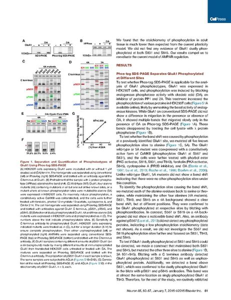 File:Page3-692px-Hosokawa Neuron.pdf.jpg