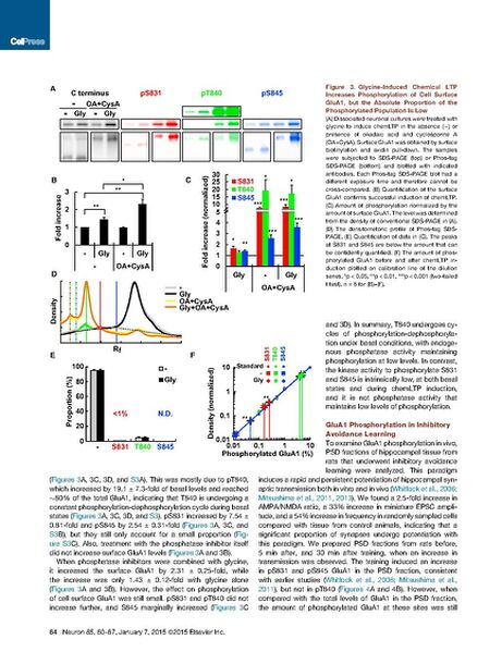 File:Page6-692px-Hosokawa Neuron.pdf.jpg
