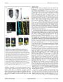 Thumbnail for version as of 06:18, 11 April 2026