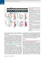 Thumbnail for version as of 06:17, 11 April 2026