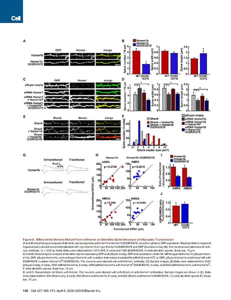 File:Page10-922px-Hayashi cell.pdf.jpg