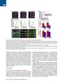 Thumbnail for version as of 06:17, 11 April 2026