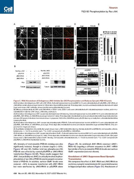 File:Page7-671px-Kim Neuron 2007.pdf.jpg