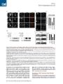 Thumbnail for version as of 06:18, 11 April 2026