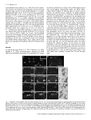 Thumbnail for version as of 06:18, 11 April 2026