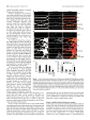 Thumbnail for version as of 06:17, 11 April 2026